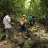 Junglewalla-Lubuksembilang-Trekking-Langkawi-12